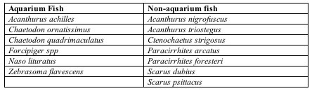 Table 3