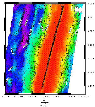 Figure 4B Image