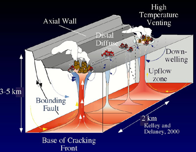 Main Vent Fields